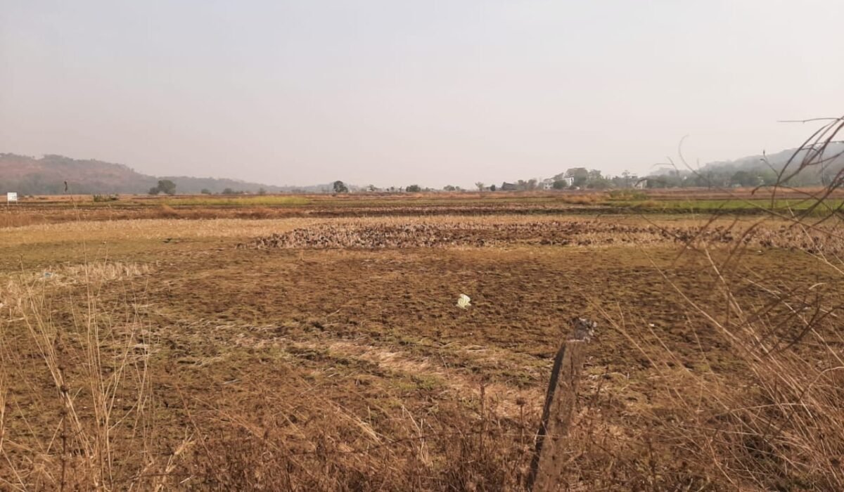 Home - Plots For Sale In Navi Mumbai 5 WhatsApp Image 2025 04 29 at 5.32.59 PM