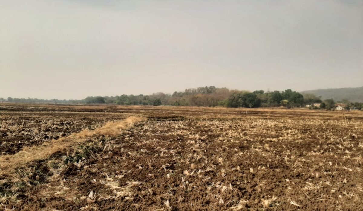 Home - Plots For Sale In Navi Mumbai 4 WhatsApp Image 2025 04 29 at 5.33.00 PM